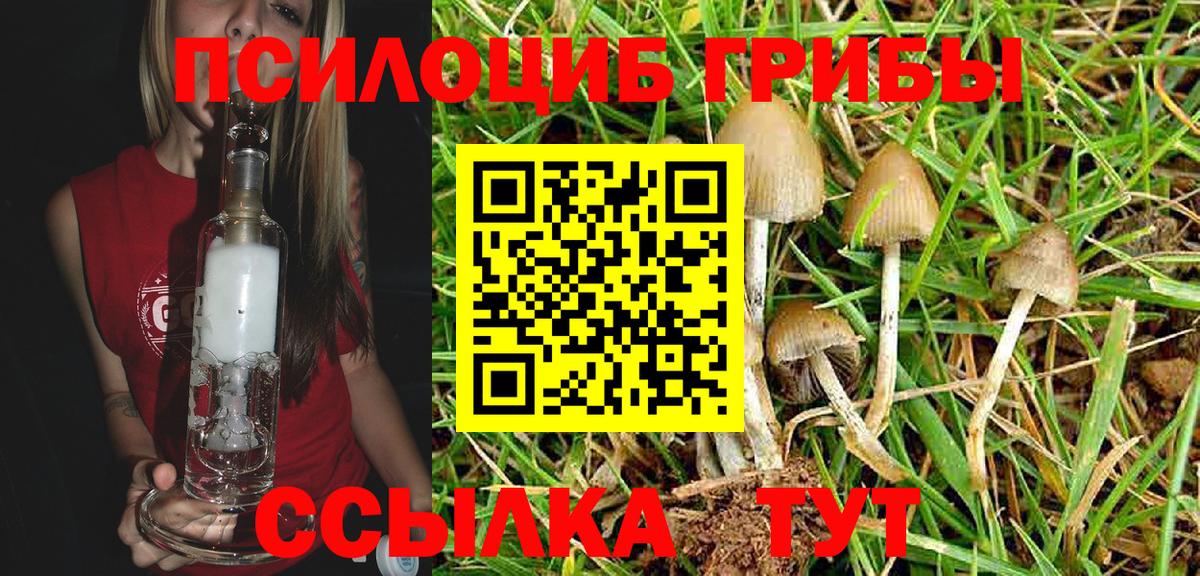 Псилоцибиновые грибы MAGIC MUSHROOMS Каменка