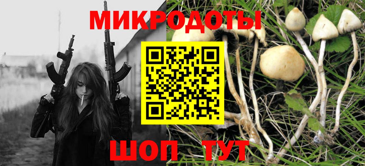 Псилоцибиновые грибы MAGIC MUSHROOMS  Вход с VPN  Каменка  Галлюциногенные грибы MAGIC MUSHROOMS 